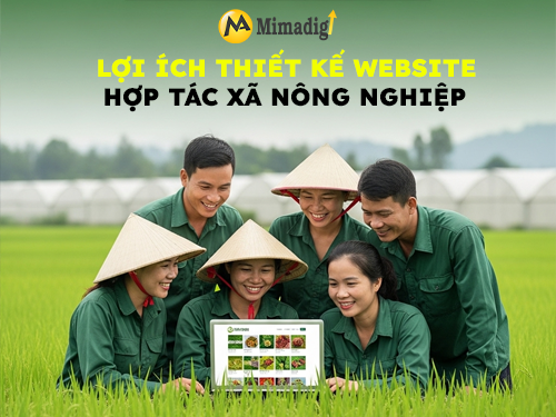 Thiết kế website hợp tác xã nông nghiệp tại mimadigi