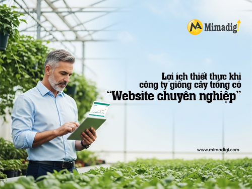 Thiết kế website công ty giống cây trồng tại mimadigi