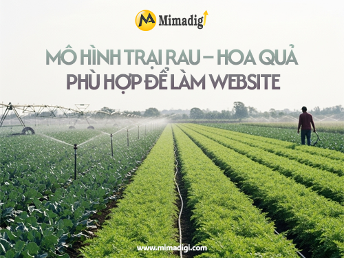 Thiết kế website trại trồng rau – hoa quả sạch tại mimadigi