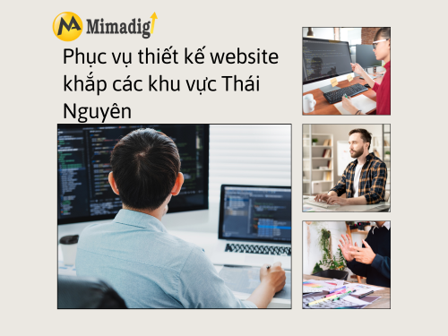 Thiết kế website tại Thái Nguyên – Website chuyên nghiệp giá tốt cùng MIMADIGI