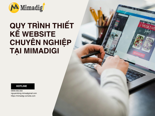 Thiết kế website tại Bạc Liêu – Website hiện đại, dễ dùng của mimadigi