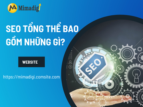 SEO Tổng Thể – Khái Niệm Cơ Bản cùng MIMADIGI
