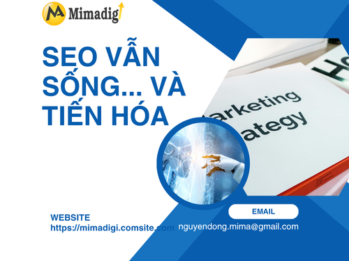 Xu hướng Digital Marketing nổi bật năm 2025 bạn không thể bỏ lỡ của mimadigi