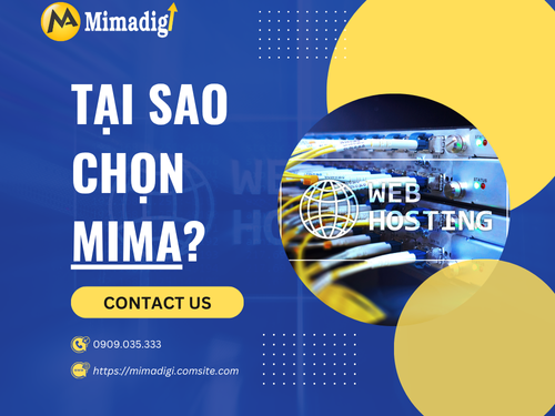 Cách chọn Hosting phù hợp cho website bán hàng/giới thiệu doanh nghiệp của mimadigi