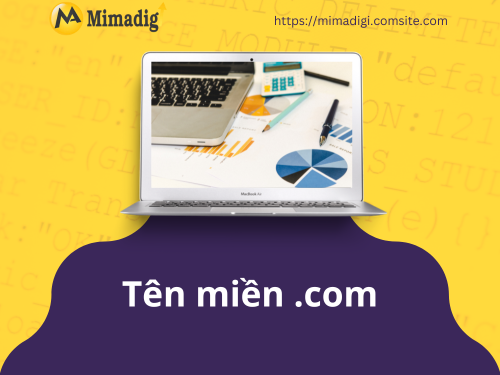 Nên mua tên miền .com, .vn hay .net? Ưu nhược điểm từng loại cùng MIMADIGI