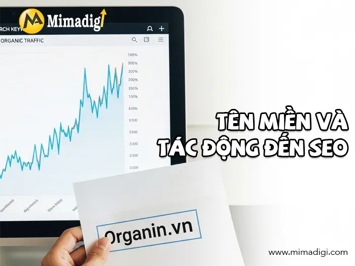 Tên miền quốc tế vs tên miền quốc gia: Nên chọn loại nào? Công Ty Mimadigi