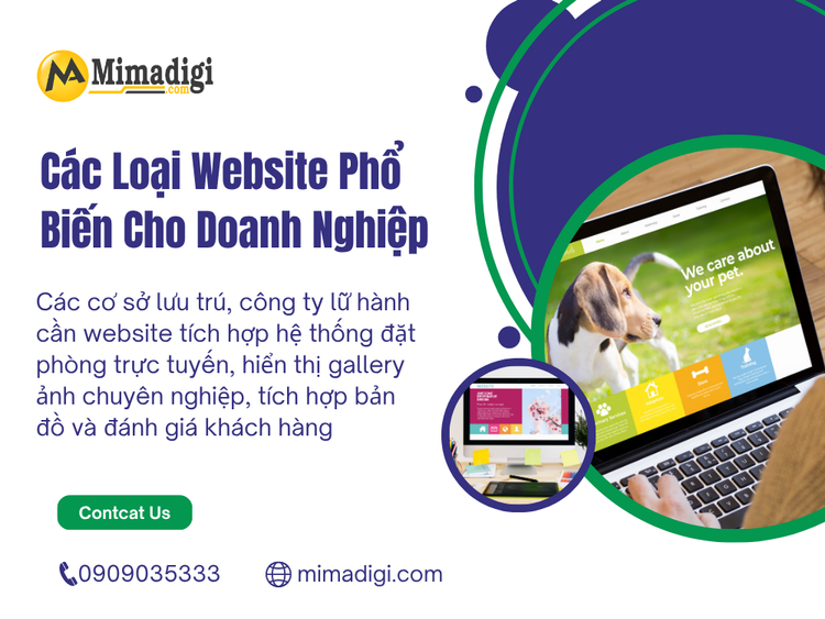 Các Loại Website Phổ Biến Cho Doanh Nghiệp Ninh Bình