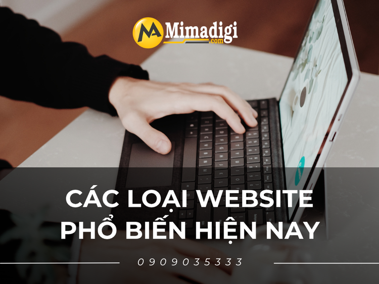 Popular Website Types Today