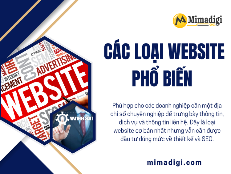 Popular Website Types