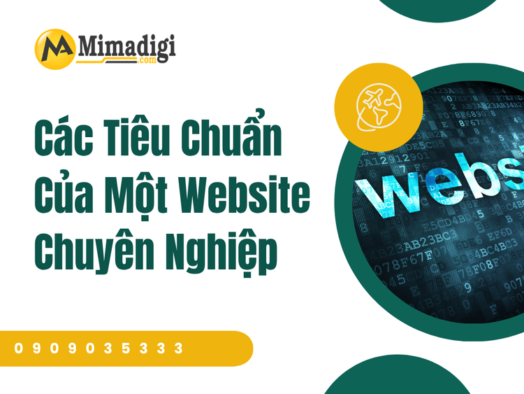 Standards of a Professional Website