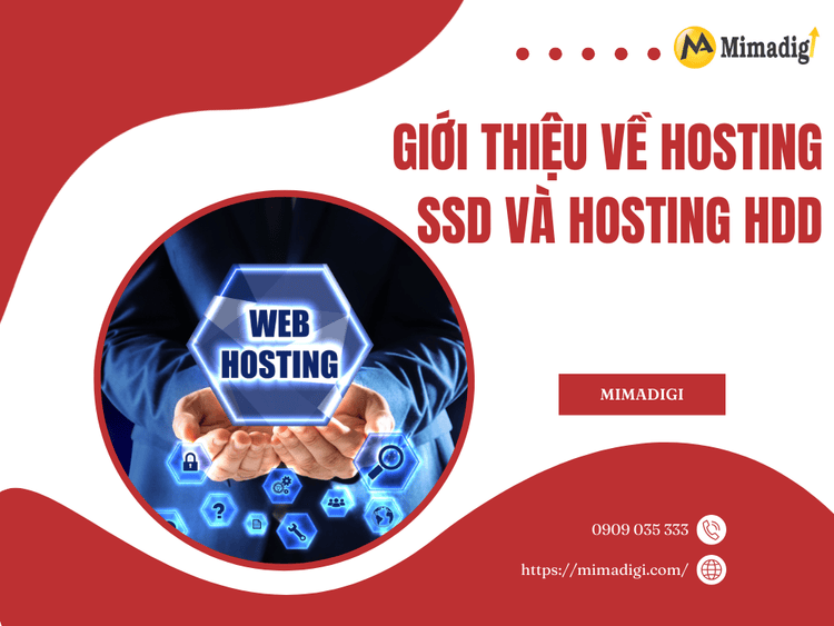 Giới thiệu về Hosting SSD và Hosting HDD tại MIMA