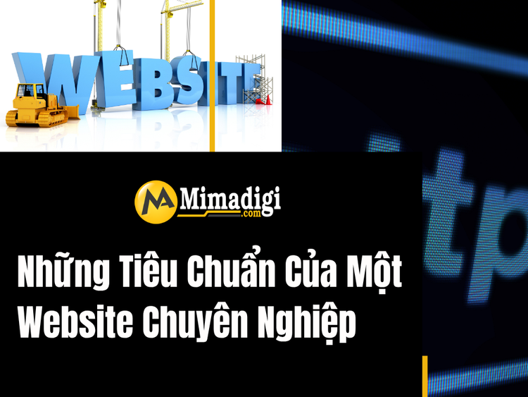 Standards of a Professional Website