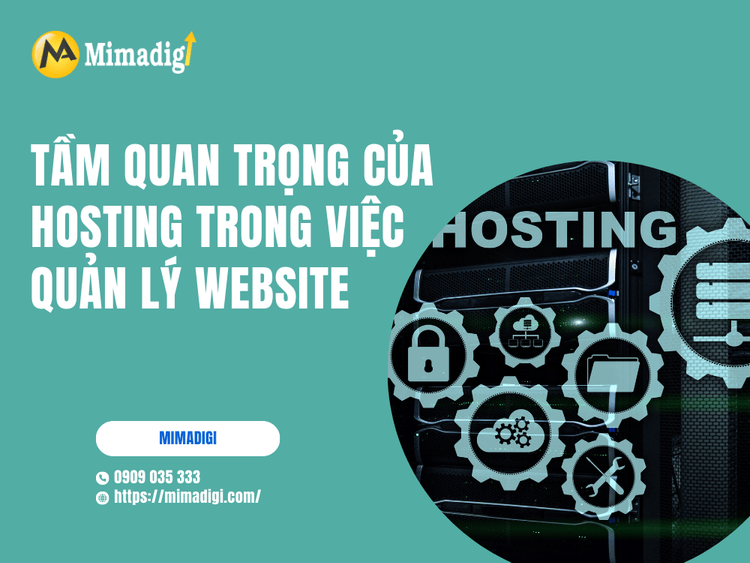 Tầm quan trọng của hosting trong việc quản lý website tại MIMA
