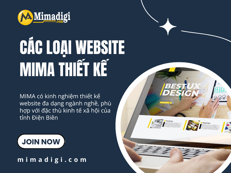 Các Loại Website MIMA Thiết Kế Cho Doanh Nghiệp Điện Biên