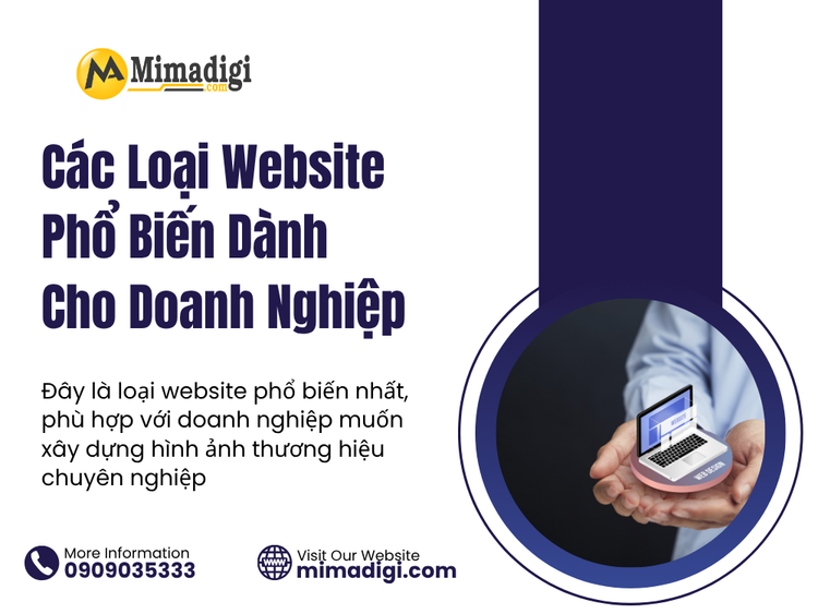 Popular Website Types for Thai Nguyen Businesses