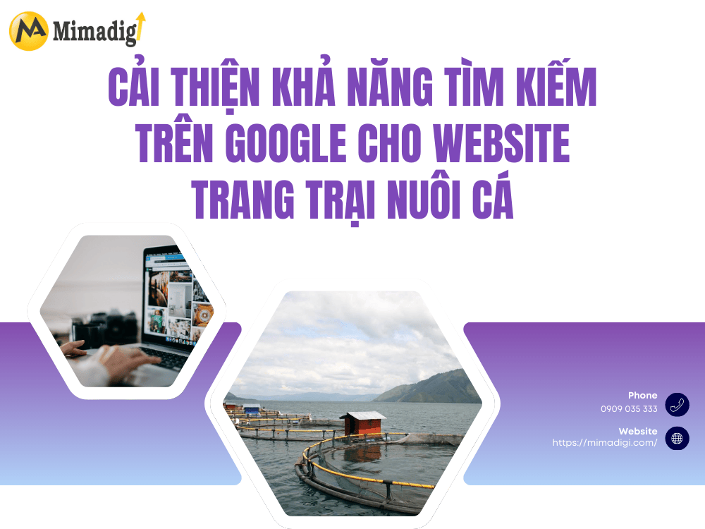 Improve Searchability on Google for Fish Farm Websites at MIMA