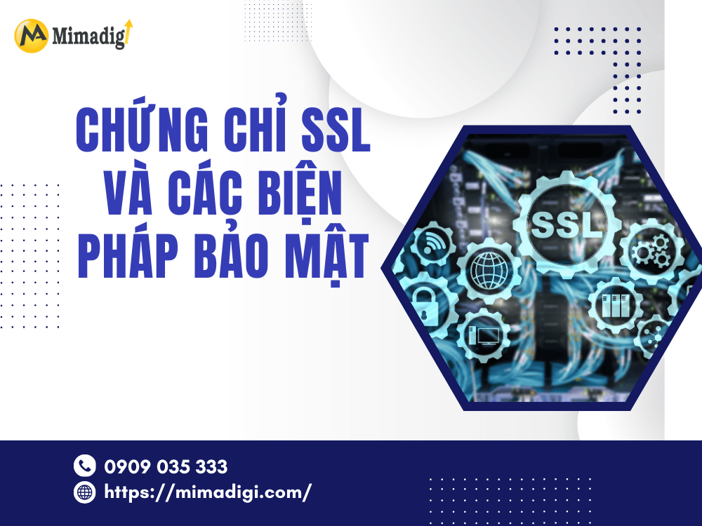 SSL Certificates and Security Measures at MIMA