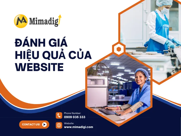 Đánh giá hiệu quả của website nhà máy thực phẩm tại mima