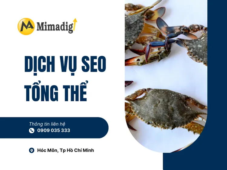 Dịch Vụ SEO Tổng Thể tại mima