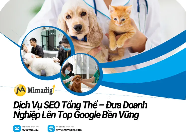 Dịch Vụ SEO Tổng Thể – Đưa Doanh Nghiệp Lên Top Google Bền Vững tại mima