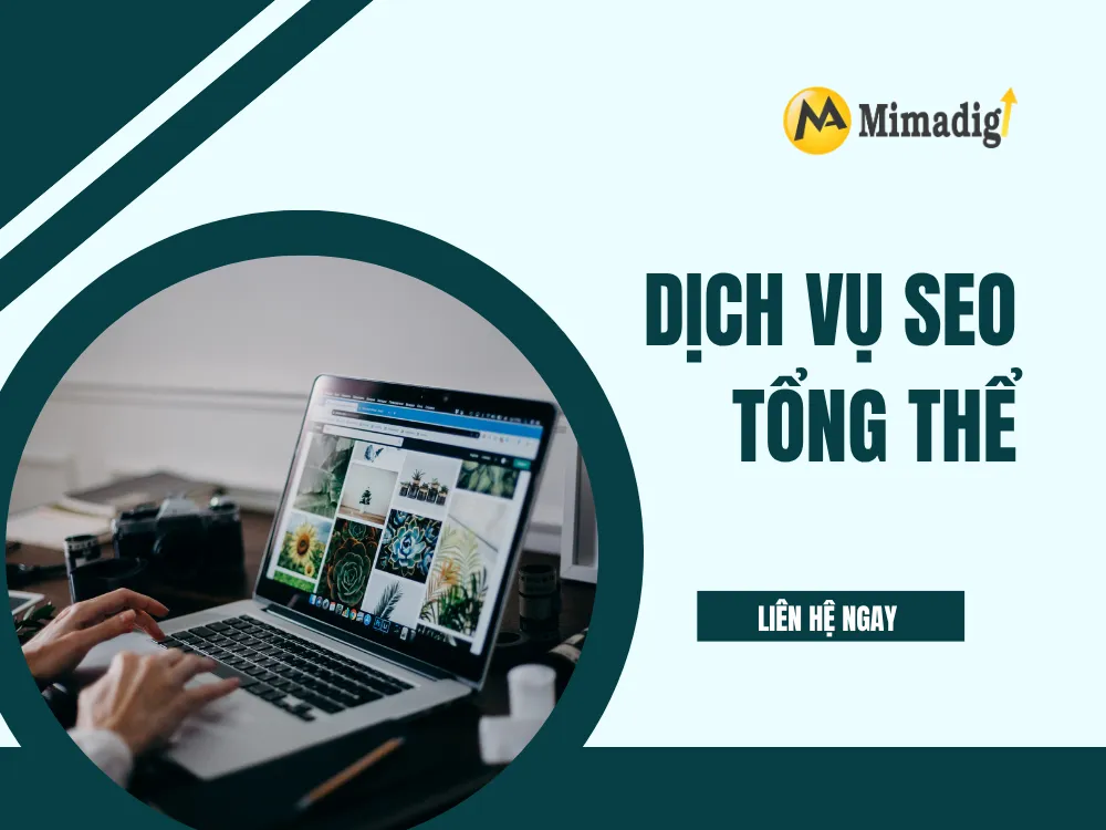 Dịch Vụ SEO Tổng Thể – Đưa Doanh Nghiệp Lên Top Google Bền Vững tại mima