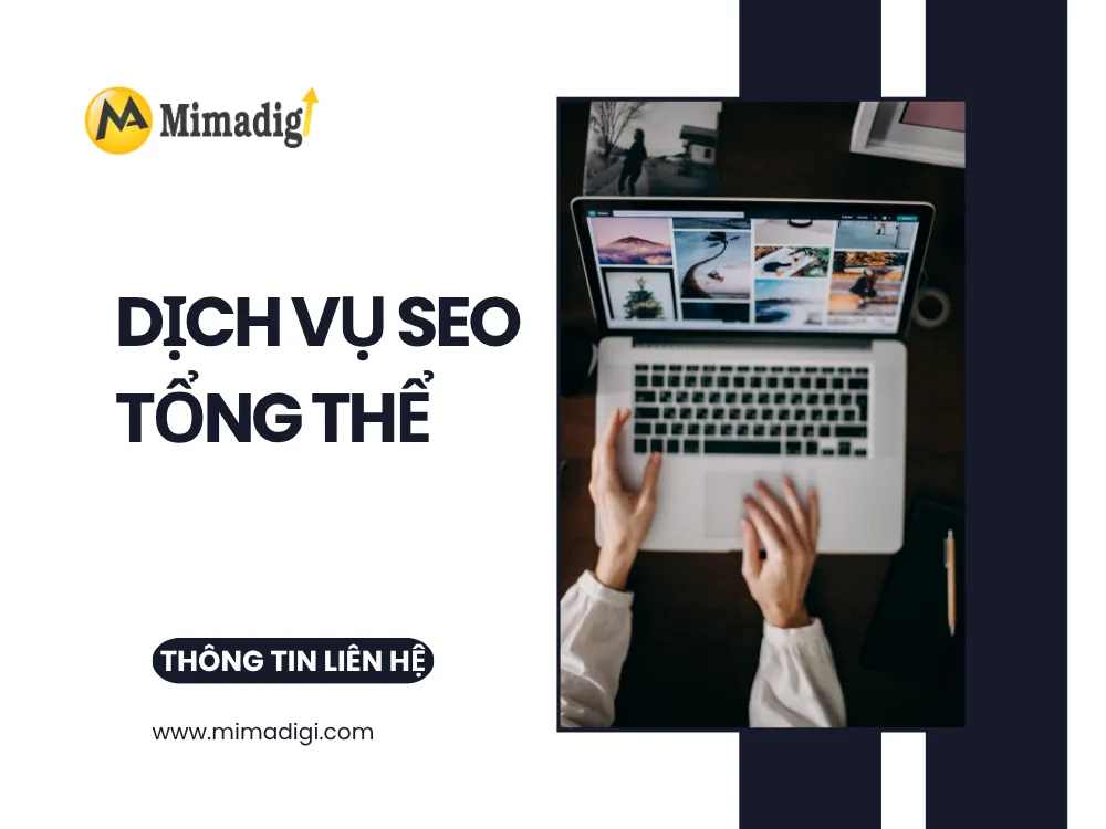 Dịch Vụ SEO Tổng Thể – Đưa Doanh Nghiệp Lên Top Google Bền Vững tại mima