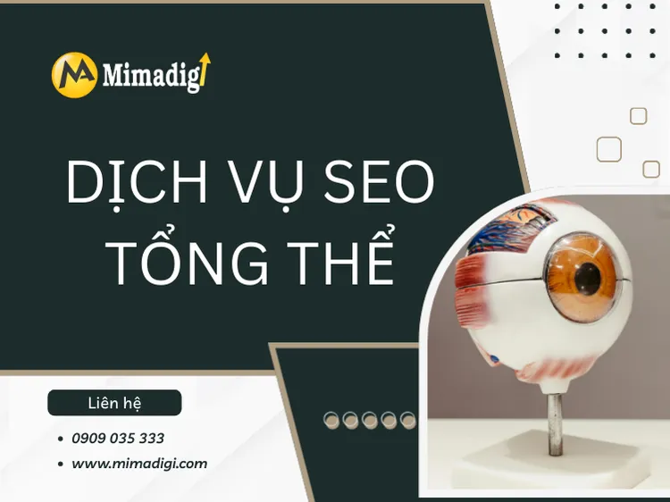 Overall SEO Service – Bring Businesses to the Top of Google Sustainably at mima