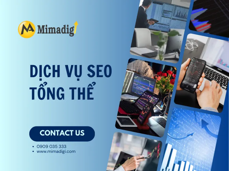 Dịch Vụ SEO Tổng Thể – Đưa Doanh Nghiệp Lên Top Google Bền Vững tại mima