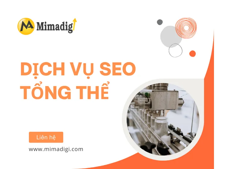 Dịch Vụ SEO Tổng Thể – Đưa Doanh Nghiệp Lên Top Google Bền Vững tại mima