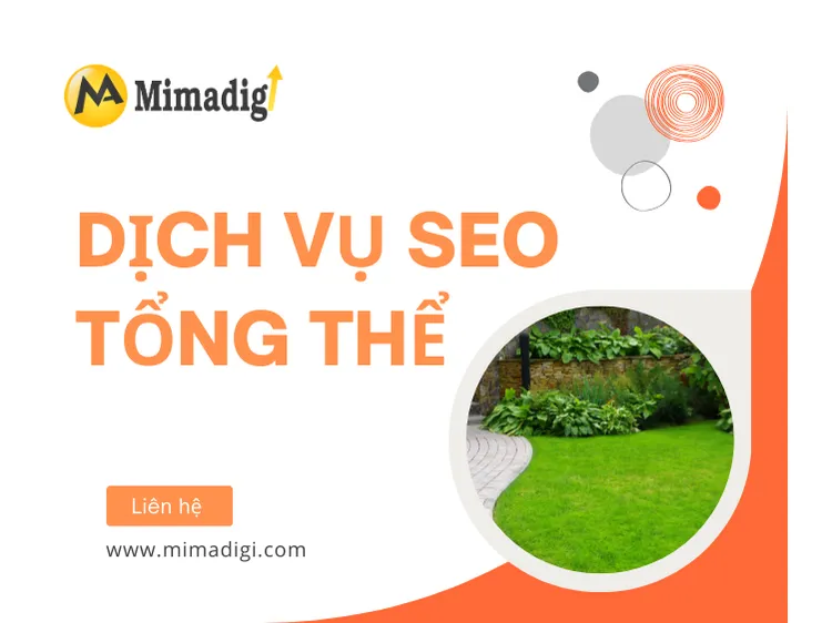 Dịch Vụ SEO Tổng Thể – Đưa Doanh Nghiệp Lên Top Google Bền Vững tại mima