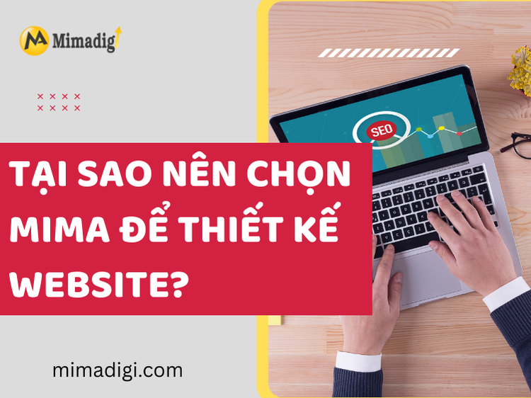 Why Choose MIMA for Website Design?