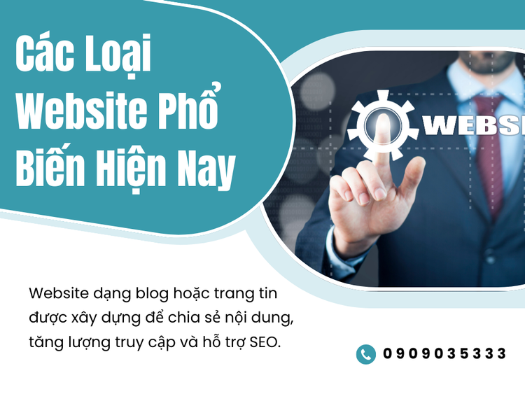 Popular Website Types Today