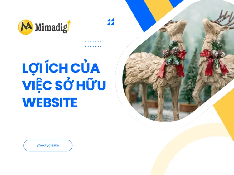Benefits of Owning a Website for DIY Model and Wood Model Services at mima