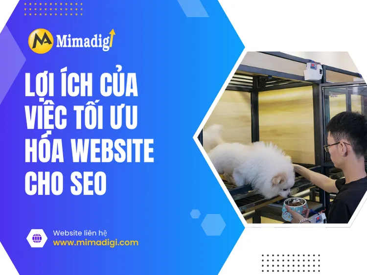 Benefits of Optimizing a Website for SEO at mima