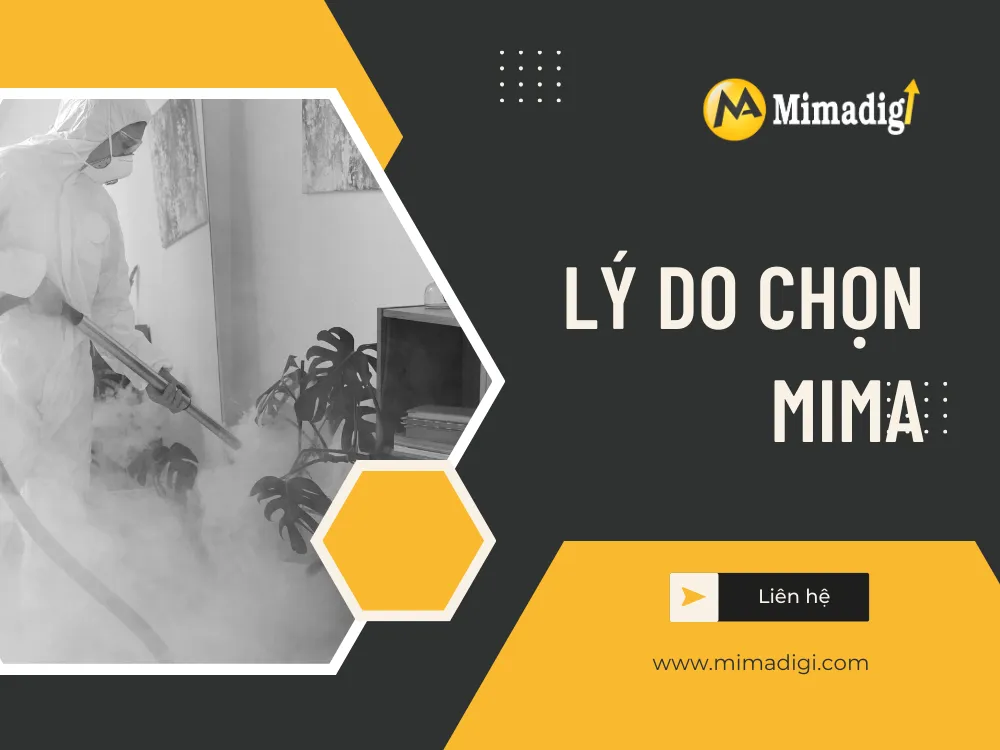 Lý do chọn MIMA để thiết kế website dịch vụ phun thuốc khử khuẩn 