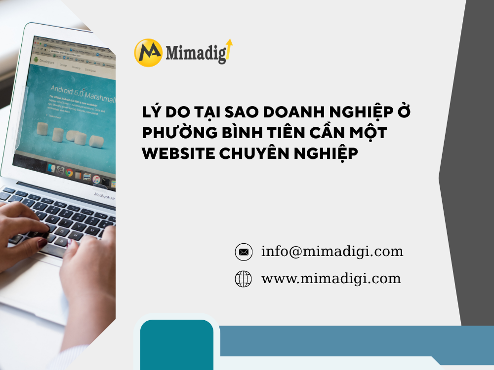Lý do tại sao doanh nghiệp ở Phường Bình Tiên cần một website chuyên nghiệp tại mima