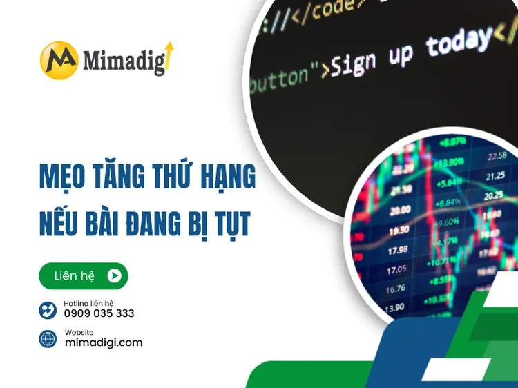 Tips to Increase Rankings if an Article is Dropping at mima