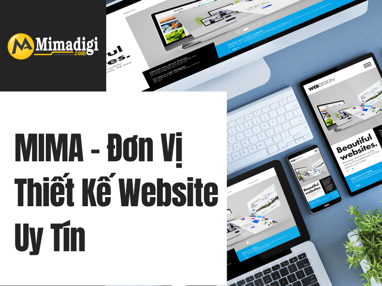 MIMA – A Reputable Website Design Company in Lai Chau