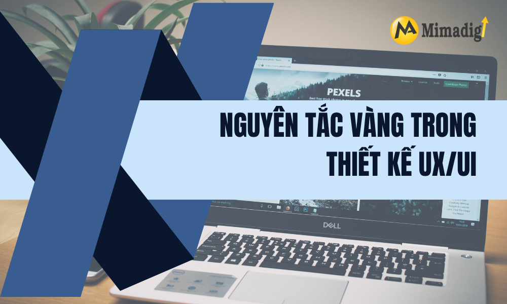 Nguyên tắc vàng trong thiết kế tại mimadigi