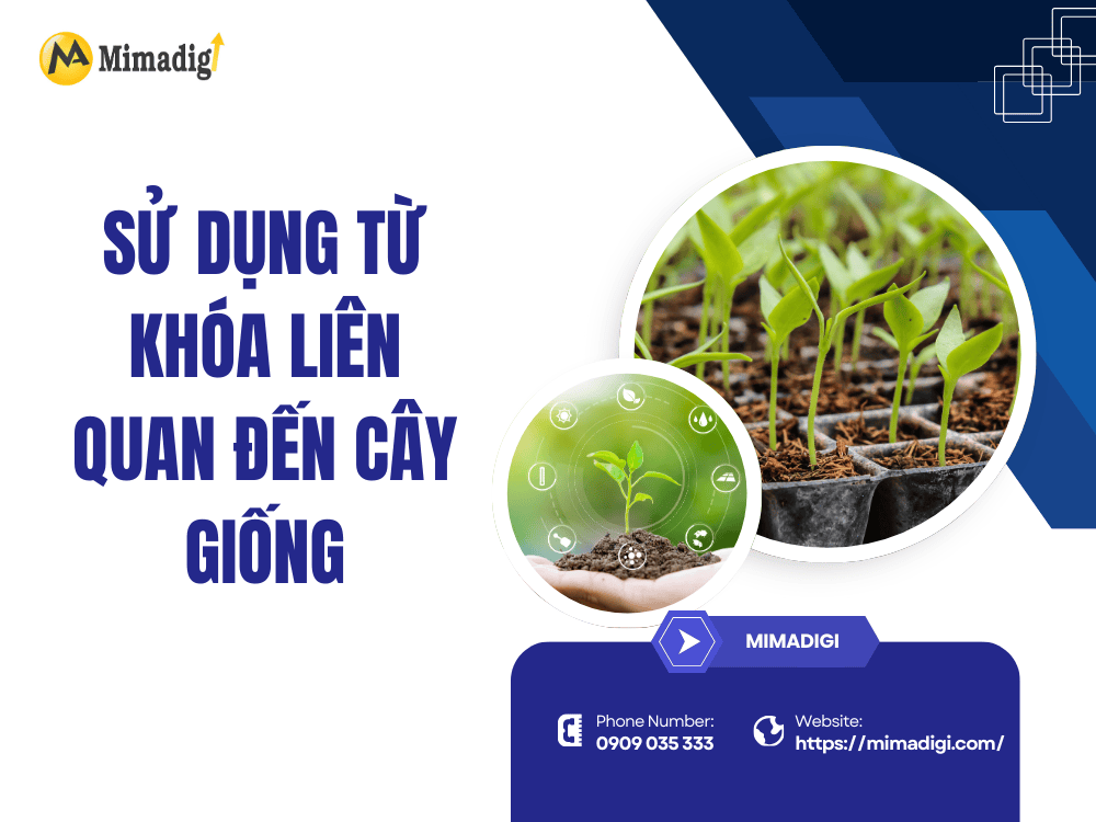 Using keywords related to seedlings at MIMA
