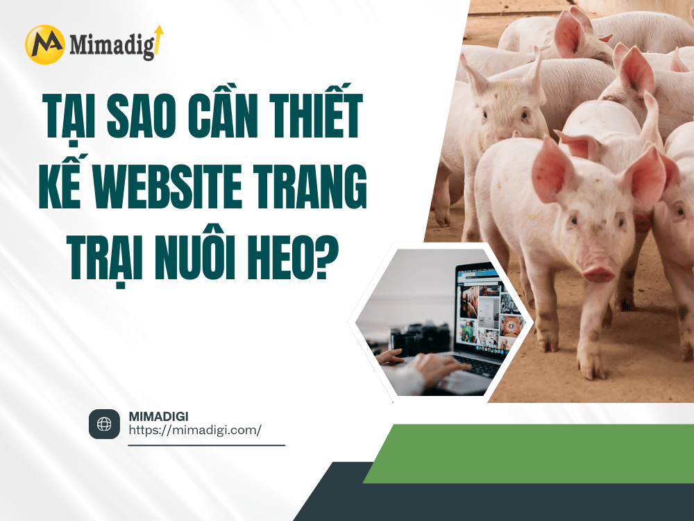 Why Design a Pig Farm Website? at MIMA