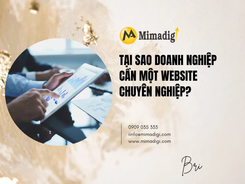 Tại Sao Doanh Nghiệp Cần Một Website Chuyên Nghiệp? tại mima