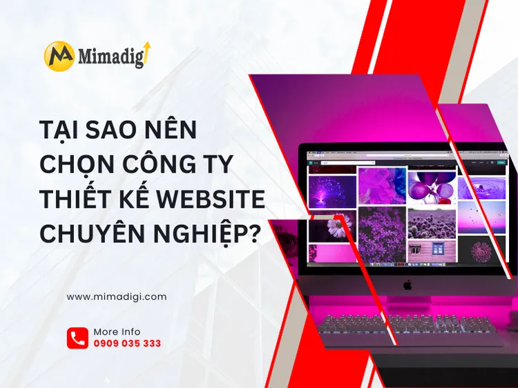 Why Choose a Professional Website Design Company? at mima
