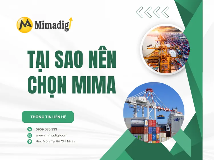 Tại sao nên chọn MIMA cho dịch vụ thiết kế website logistics? tại mima