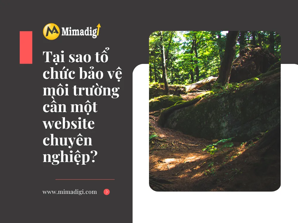 Tại sao tổ chức bảo vệ môi trường cần một website chuyên nghiệp? tại mima