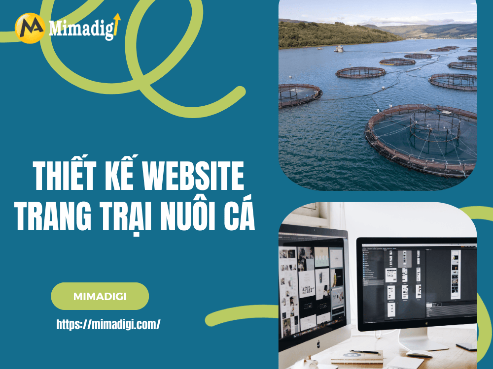 Why Do Fish Farms Need a Professional Website? at MIMA