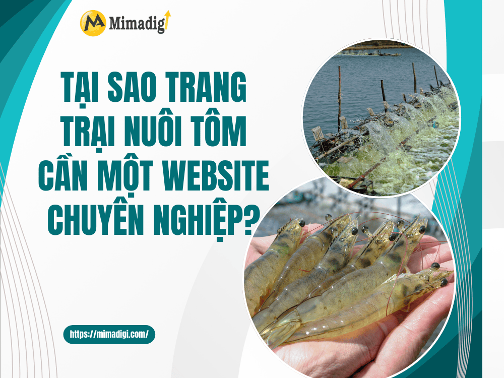 Why Does a Shrimp Farm Need a Professional Website? at MIMA