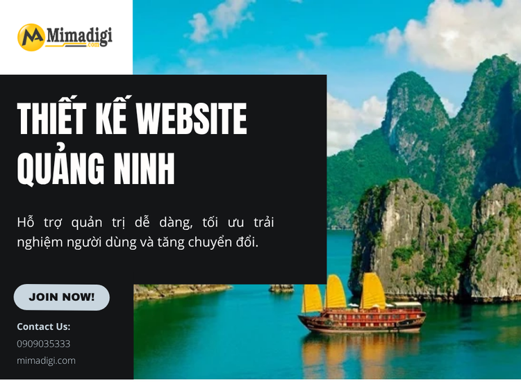 Quang Ninh Website Design – Real-World Insights from Industry Professionals