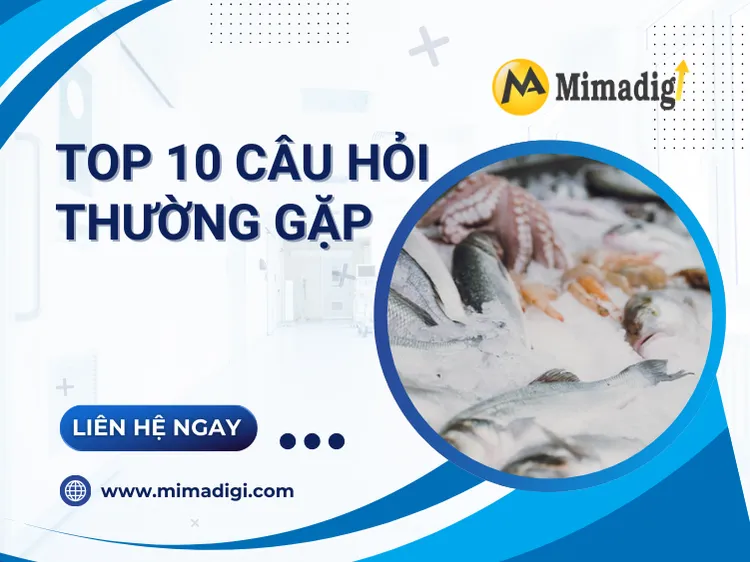 Top 10 câu hỏi thường gặp khi thiết kế website bán hải sản online tại Vũng Tàu tại mima