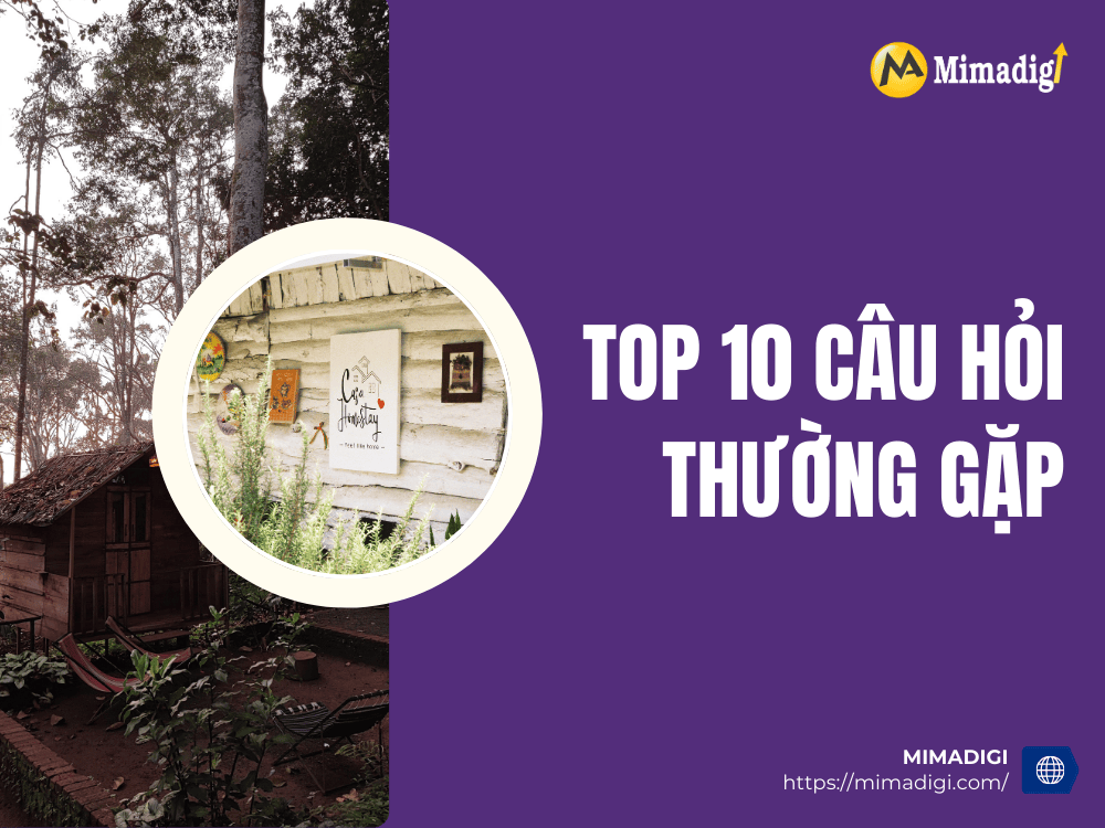 Top 10 frequently asked questions at MIMA